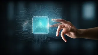 The Human-Centric Advantage: 3 Careers Immune To AI Shifts