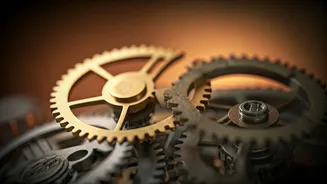 The Science of Staying: Why Long-Term Relationships Are So Hard to End