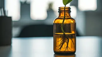 Amber Glass Bottle Propagation Outperforms All Boring Office Desk Accessories