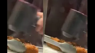 Restaurant Uses Dyson Hair Dryer To Keep Fried Food Crispy: ‘Takes Fine Dining To A Different Level’
