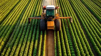 Soundwave Powered Crop Protection Keeps Urban Organic Produce Free Of Chemicals