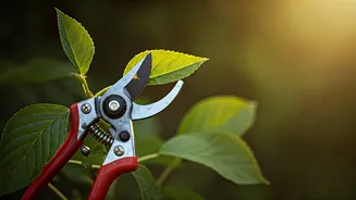 Pruning Makes June Gardening Feel More Useful