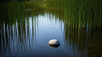 Related Stories banner