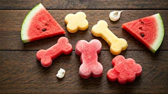Keep Dogs Chill Using Frozen Watermelon Curd Pop Recipes