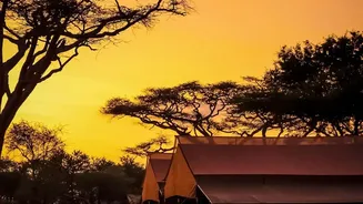 August Travel Trends Show Growing Interest In Monsoon Safari Holidays