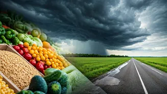 Food Prices And Travel Linked To Rainfall
