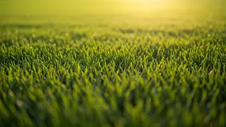 5 Astonishing Wonders of the USA!