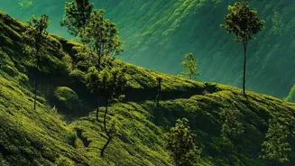Monsoon Backpacking In The Western Ghats Starts With A Smarter Packing List