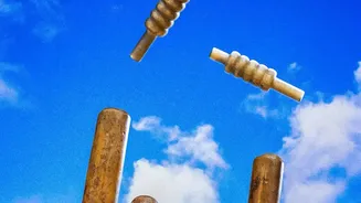 ಕ್ರಿಕೆಟ್ನಲ್ಲಿ ಅತ್ಯಂತ ವಿಚಿತ್ರ ಔಟ್ಗಳು ಯಾವುವು?