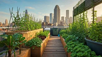 Communities Are Making Sustainability Easier
