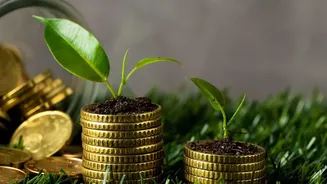 UPI Micro Spending Rules How To Keep Small Purchases From Draining Salary