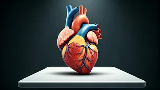 Heart Health During Celebrations: A Cardiologist's Warning