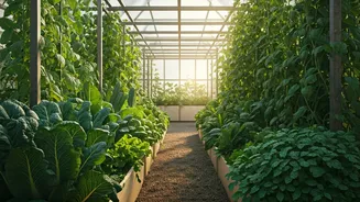 Why Kerala Kitchen Garden Framework Models Are Copied Globally Now