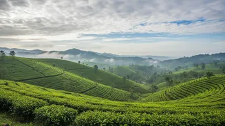 Keep Plans For Rainy-Season Packing Focused On Wet And Dry Zones And Documents And Laundry