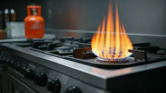 LPG Crisis Grips Restaurants: NRAI Advises Fuel Conservation & Alternative Cooking Methods