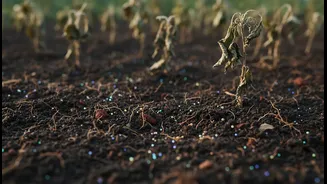 Soil Microbes Could Help Salty Farms Fight Back