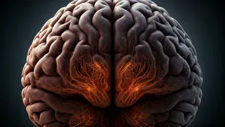 Navigating the Ups & Downs: Mental Wellbeing in Today's World