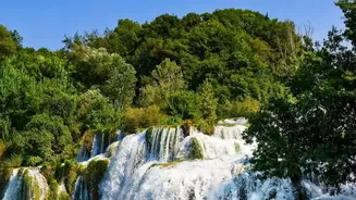 Monsoon Weekend Getaways: Maharashtra Waterfalls Gain Fresh Popularity