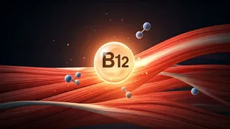 Vitamin B12's Hidden Role: Fueling Healthy Aging and Muscle Vitality