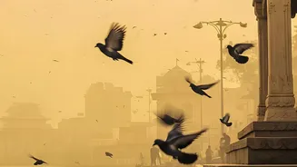 Seasonal Change And City Wildlife: Why Cool Morning Air Increases Bird Activity Levels