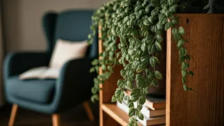 Incorporate Trailing Devil's Ivy For Cozy Rental Reading Corner Aesthetics