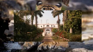 The Most Luxurious Getaways to Plan from Delhi this Rakhi Long Weekend
