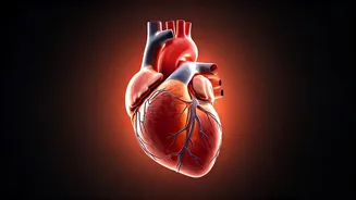 Do 5 Minutes of Exercise for a Healthy Heart