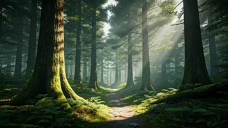 Vedaranyam: India's First Vedic Forest in Naimisharanya to Blend Spirituality with Nature