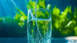 How To Structure Your Daily Hydration Needs For Humid August Weather Conditions Successfully