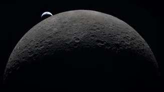 NASA finds microbes may survive in lunar south pole shadows