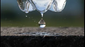 Sweat Rate And Session Demands Should Shape The Drinking Plan