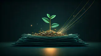 Star-Backed IPOs Are Pulling Young Investor Attention