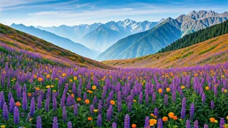 Early Monsoon Trekkers Report Lush High Altitude Uttarakhand Bloom