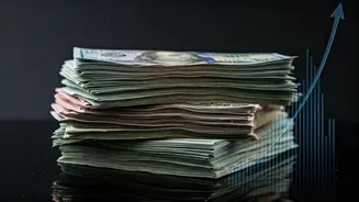 India's MNC Stocks: Investing for Growth