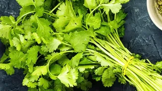 Homegrown Herbs Are Adding Fresh Flavours To Monsoon Cooking Across Cities
