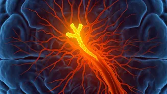 Camel Antibodies: A Hopeful Avenue for Alzheimer's Treatment?