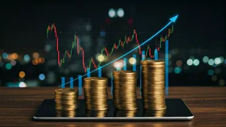 Smart Investment Strategies for Indian Markets