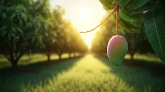 Lucknow’s Mango Revolution Is Changing Small Farmer Lives Radically
