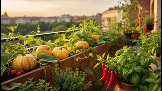 The Edible Balcony Trend Makes Greens, Gourds, Chillies and Herbs More Important than the Headline Suggests