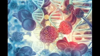 Early-Onset Cancer Surge: Lifestyle, Pollution, And Modern Living Under Scanner