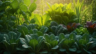 Sustainable Gardening Is The New Normal