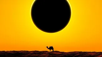 Solar Eclipse Viewing Raises Old Questions About Indian Cultural Practice