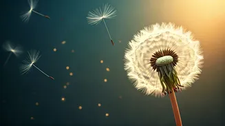 10 Subtle Signs Your Soul Needs Healing: Reconnecting with Your Inner Self