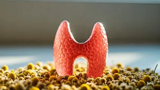 Homeopathy for Thyroid: A Natural Approach