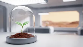 How Growing Plants On Mars Could Support Future Human Settlements