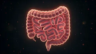 Gut Care Is The New Self-Care