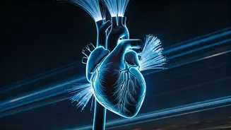 Heart Health in the Skies: Protecting Your Cardiac Health