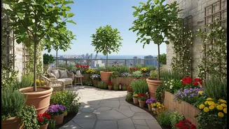 The Best Balcony Garden Leaves Room to Walk, Clean and Repair
