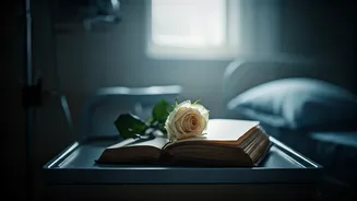 Whispers from the Brink: Understanding Dreams and Visions in Life's Final Days