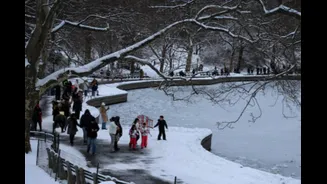 Do Trees Burst In Extreme Cold? Understanding The 'Exploding Trees' Phenomenon Going Viral